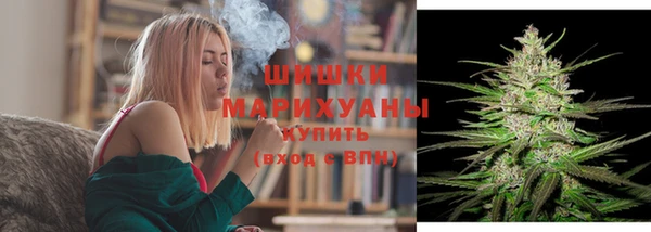 ПСИЛОЦИБИНОВЫЕ ГРИБЫ Вязьма