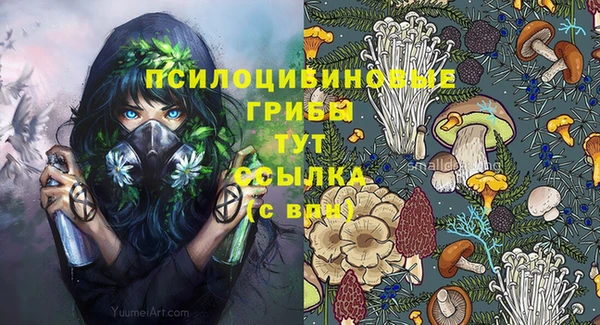 круглые Вяземский