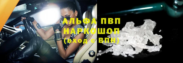 ПСИЛОЦИБИНОВЫЕ ГРИБЫ Вязьма