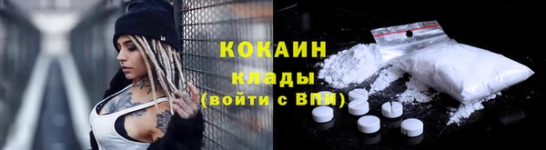 ПСИЛОЦИБИНОВЫЕ ГРИБЫ Вязьма