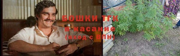 круглые Вяземский