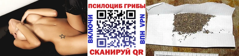 hydra tor Завитинск Галлюциногенные грибы мухоморы